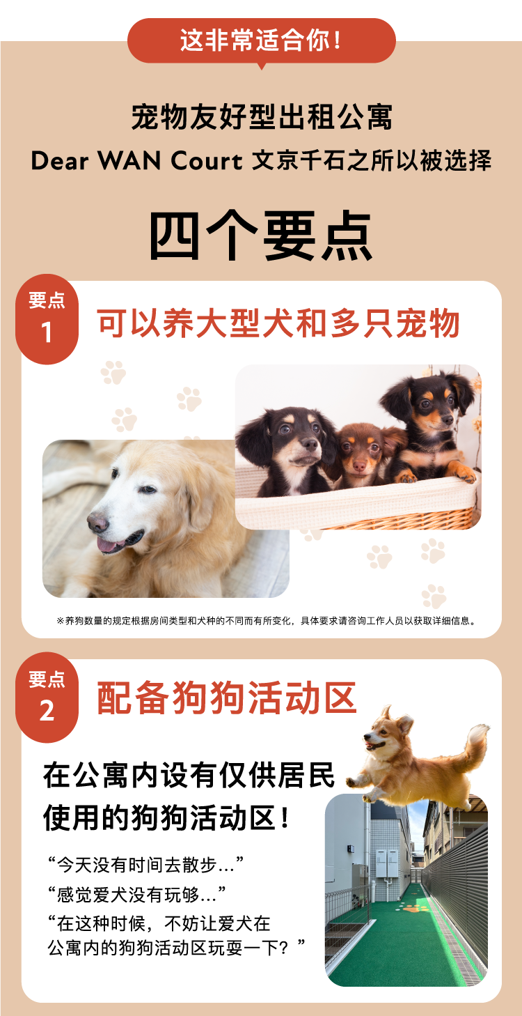 ４つのポイント